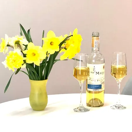 Osapart In A Complex Semycvit Apartment *