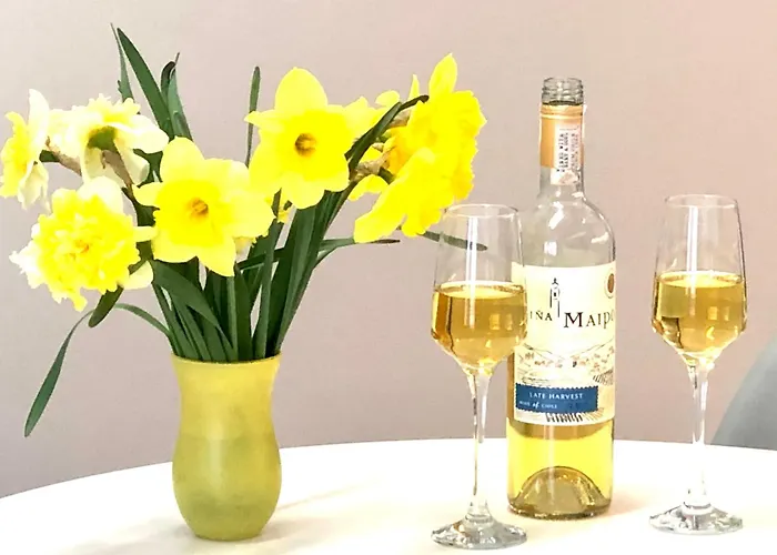 Osapart In A Complex Semycvit דירה *